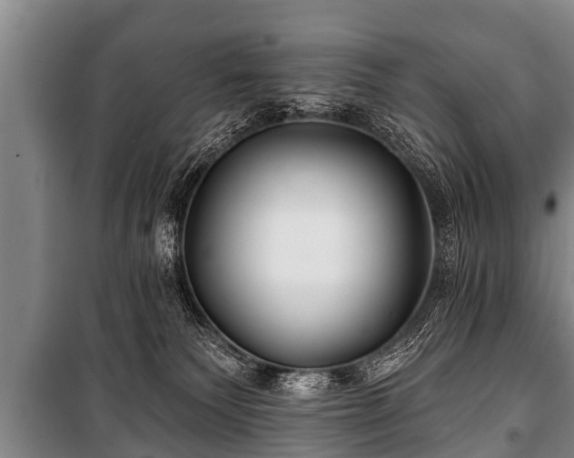 X0000100840135200806271121