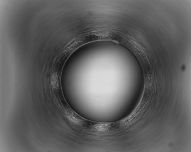 X0000100840136200806271121