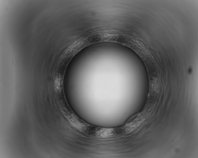 X0000100840138200806271121