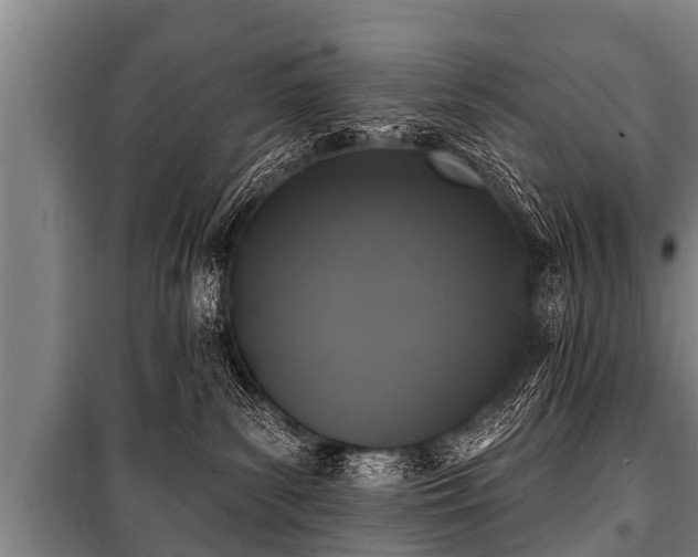 X0000100840139200806271121