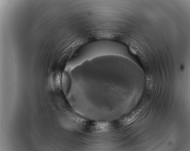 X0000100840143200806271121