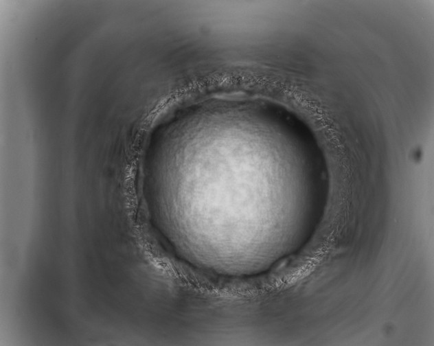 X0000100840144200806271121