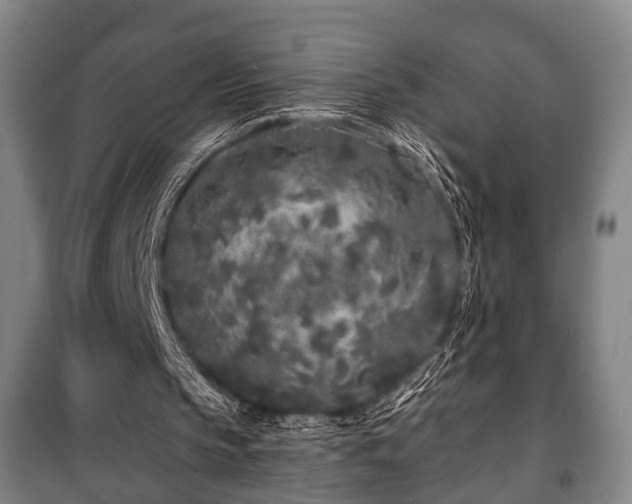 X0000100840145200806271120