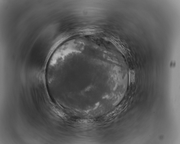 X0000100840147200806271121