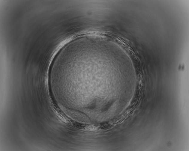 X0000100840148200806271121