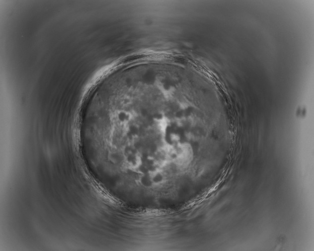 X0000100840149200806271121