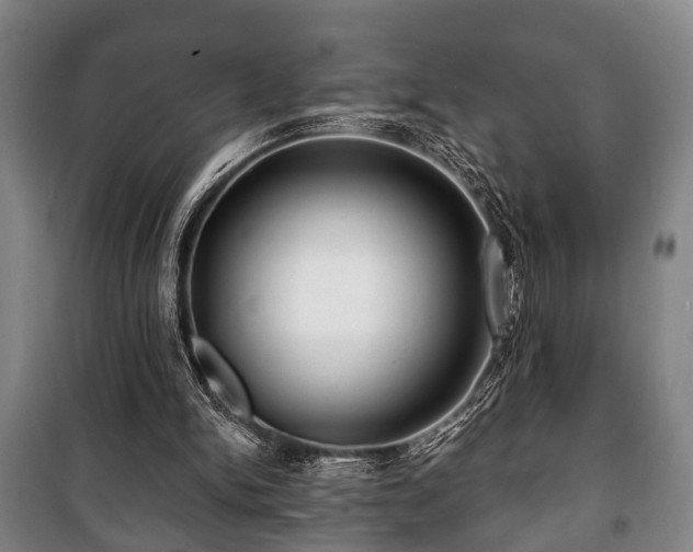 X0000100840150200806271121