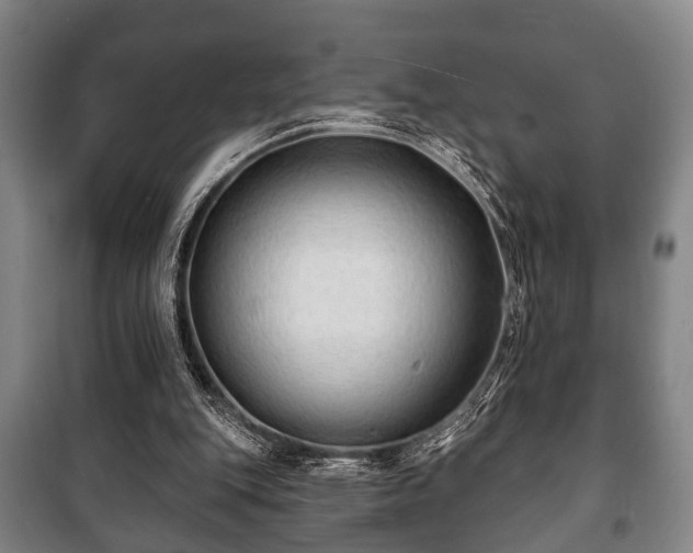 X0000100840151200806271121