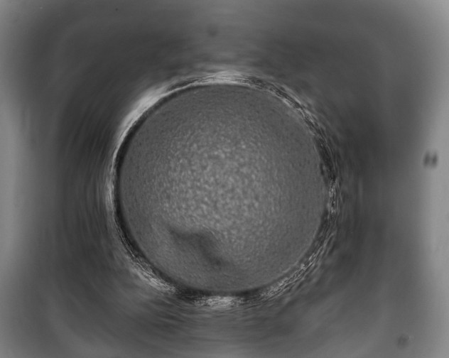 X0000100840152200806271121