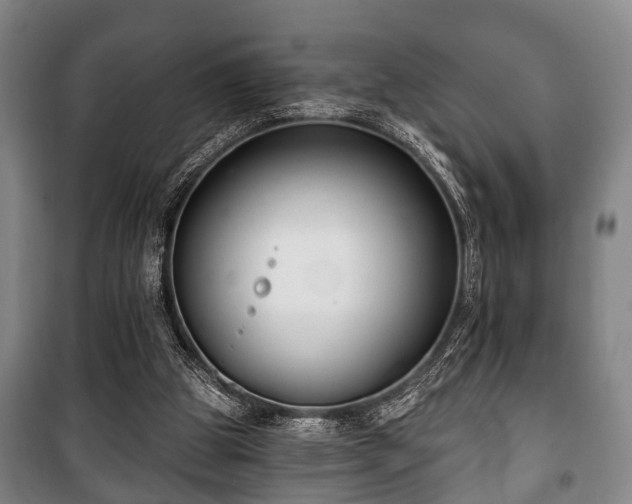 X0000100840153200806271121