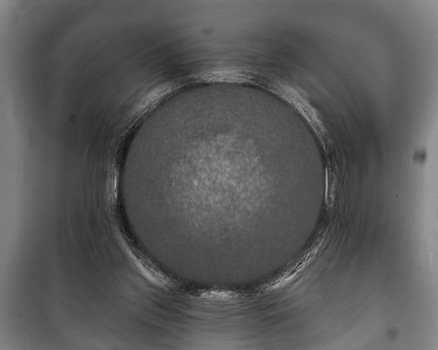 X0000100840157200806271121