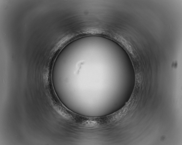 X0000100840159200806271121