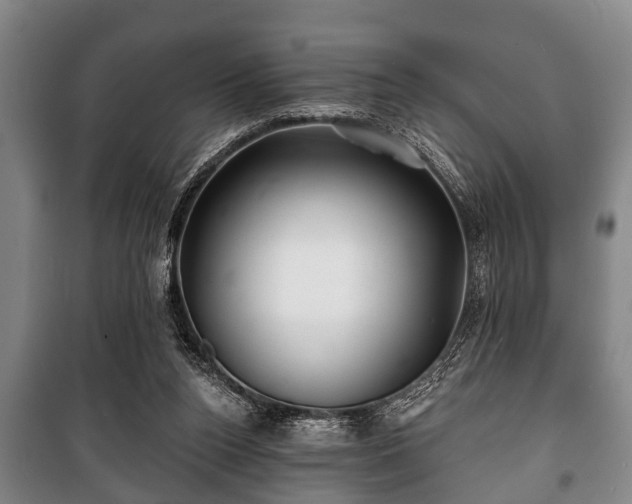 X0000100840160200806271121