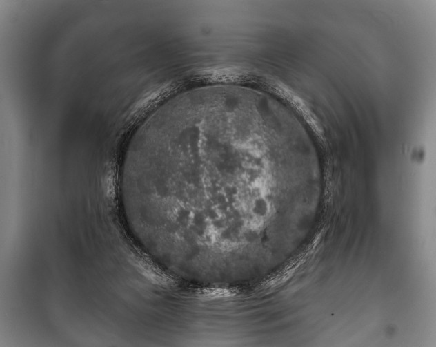 X0000100840161200806271121