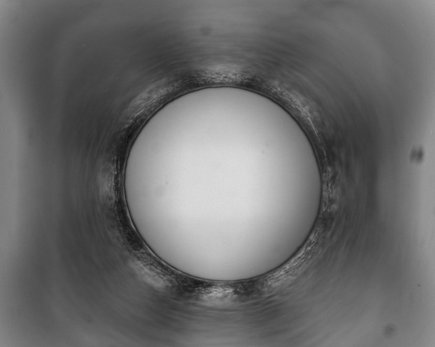 X0000100840162200806271121