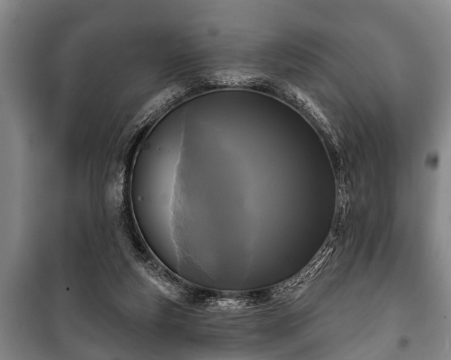 X0000100840163200806271121