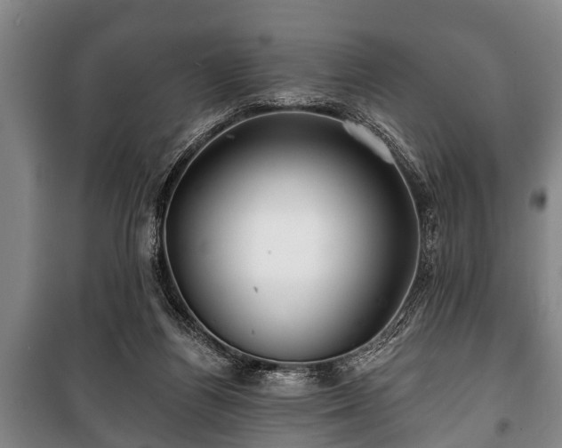 X0000100840164200806271121