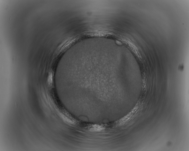 X0000100840166200806271121