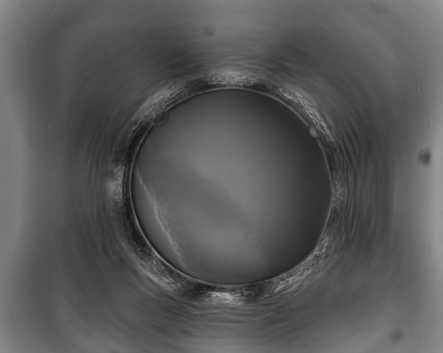 X0000100840167200806271121