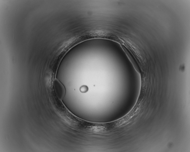 X0000100840168200806271121