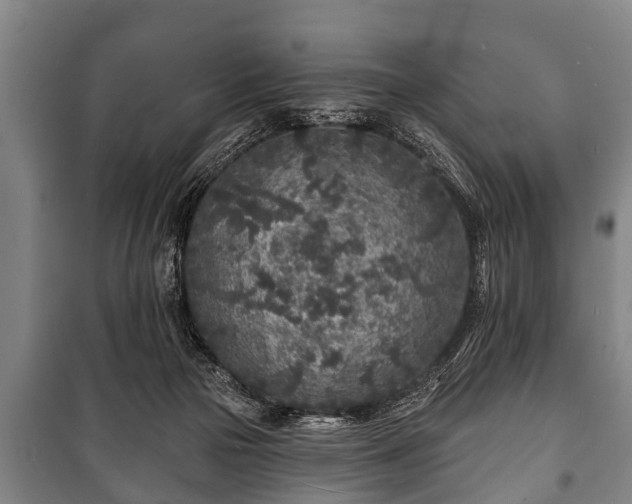 X0000100840169200806271121