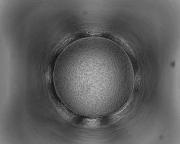 X0000100840170200806271121