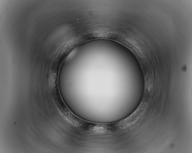 X0000100840171200806271121