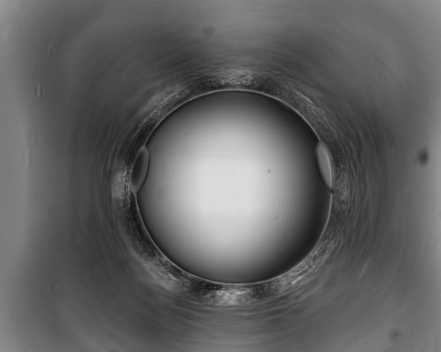 X0000100840172200806271121