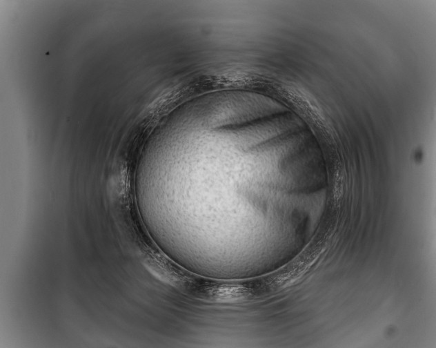 X0000100840173200806271121