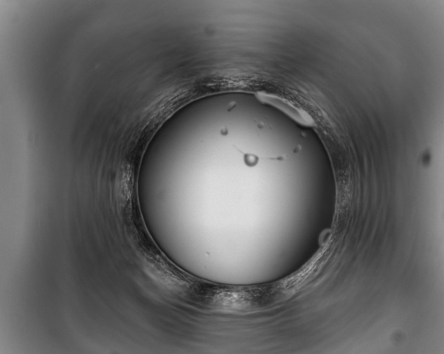 X0000100840174200806271121