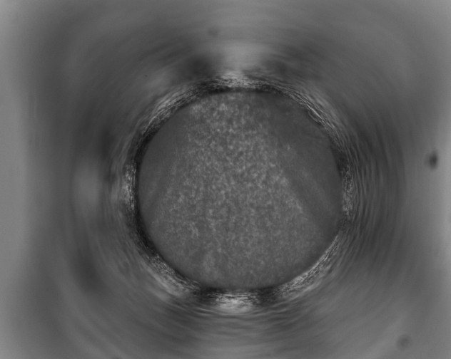 X0000100840175200806271121