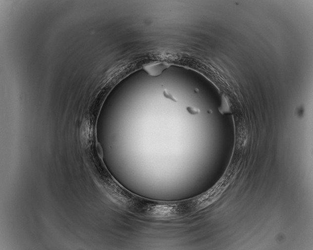 X0000100840176200806271121