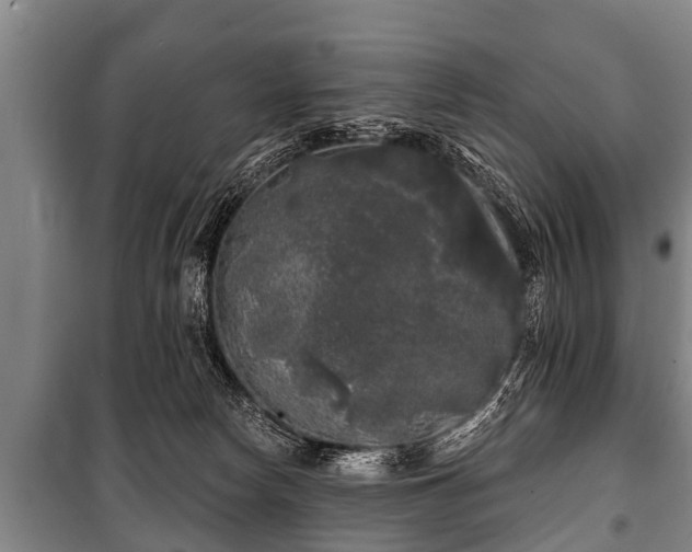 X0000100840178200806271121