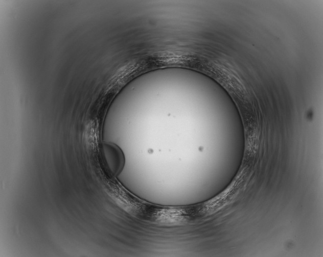 X0000100840179200806271121