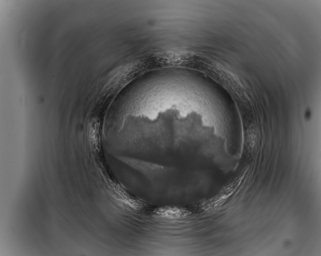 X0000100840181200806271121