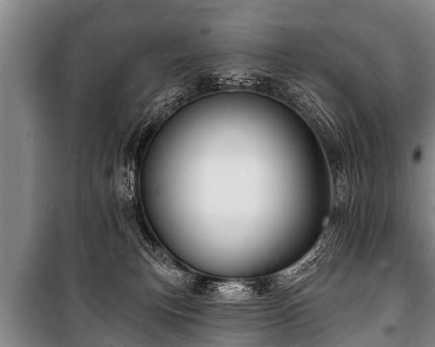 X0000100840183200806271121