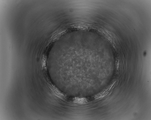 X0000100840185200806271121