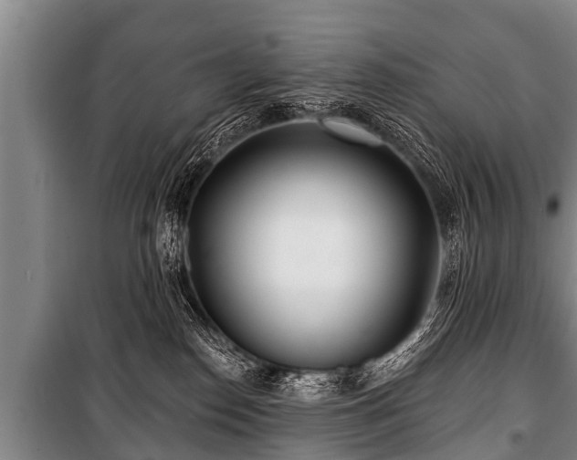 X0000100840186200806271121