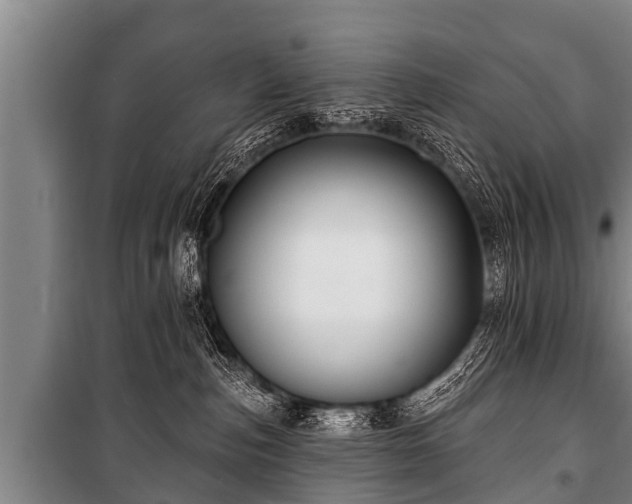 X0000100840187200806271121