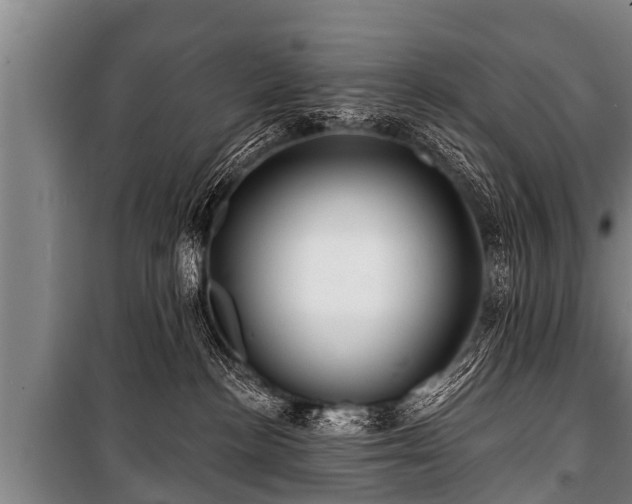 X0000100840188200806271121