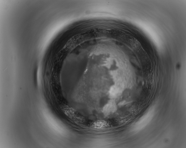 X0000100840189200806271121