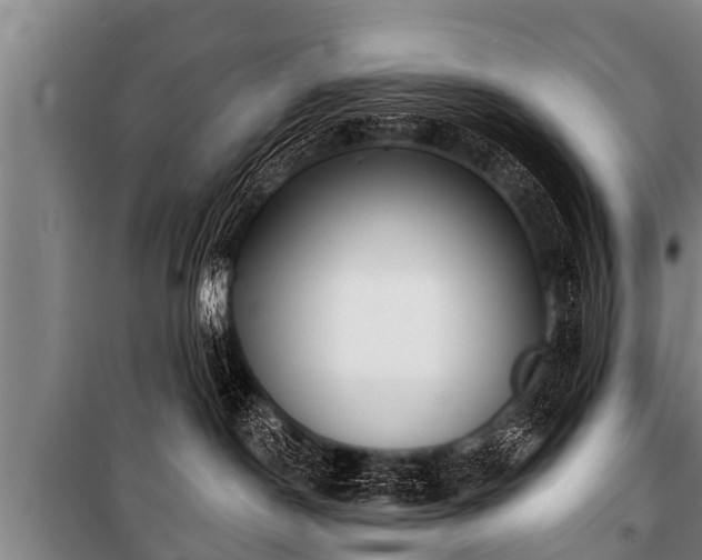 X0000100840190200806271121