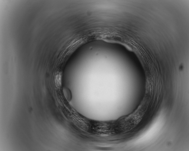 X0000100840191200806271121