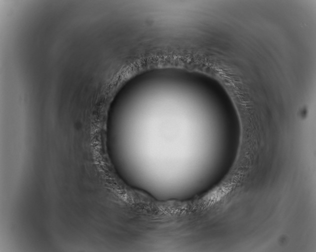 X0000100840192200806271121