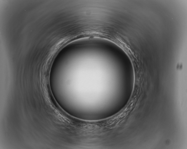 X0000100840193200806271120