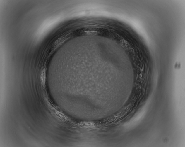 X0000100840194200806271120