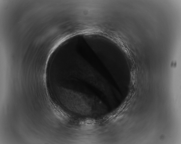 X0000100840196200806271120