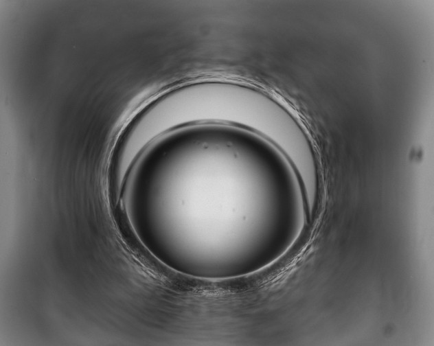 X0000100840199200806271120