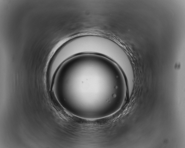 X0000100840200200806271120