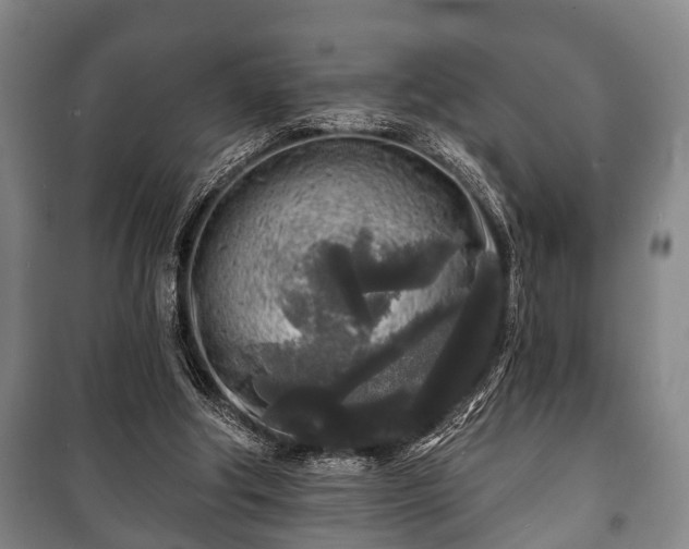 X0000100840202200806271120